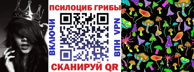 Псилоцибиновые грибы Psilocybine cubensis  Аркадак 