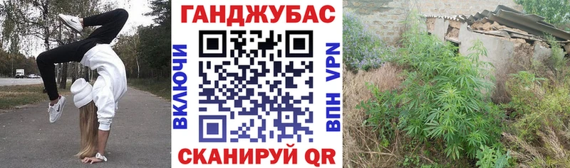 Шишки марихуана тримм купить наркоту mega ссылки shop наркотические препараты Аркадак